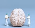 mentale gezondheid verbeteren brein