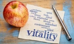 stress coach opleiding
