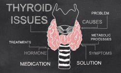 hormonen in balans thyroxine