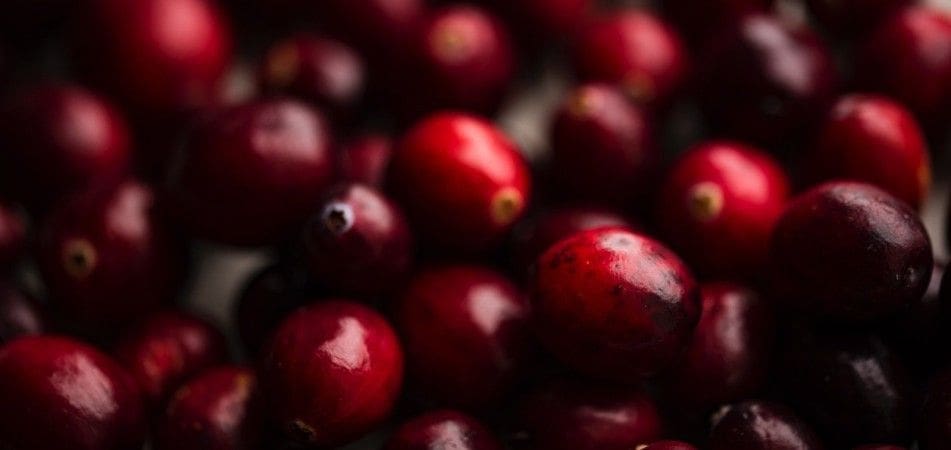 Helpt cranberrysap tegen een blaasontsteking?