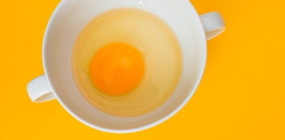 te veel eiwitten slecht