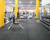 personal trainers in Nederland