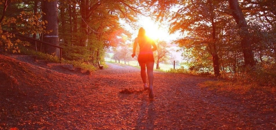 cursus coach vitaliteit