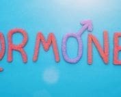 hormonen in balans