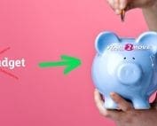 stap-budget