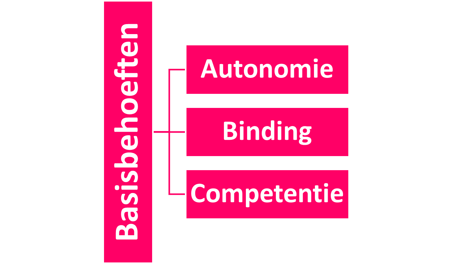 sportmotivatie motivatie sporten weg