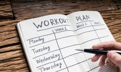 trainingsschema maken training maken